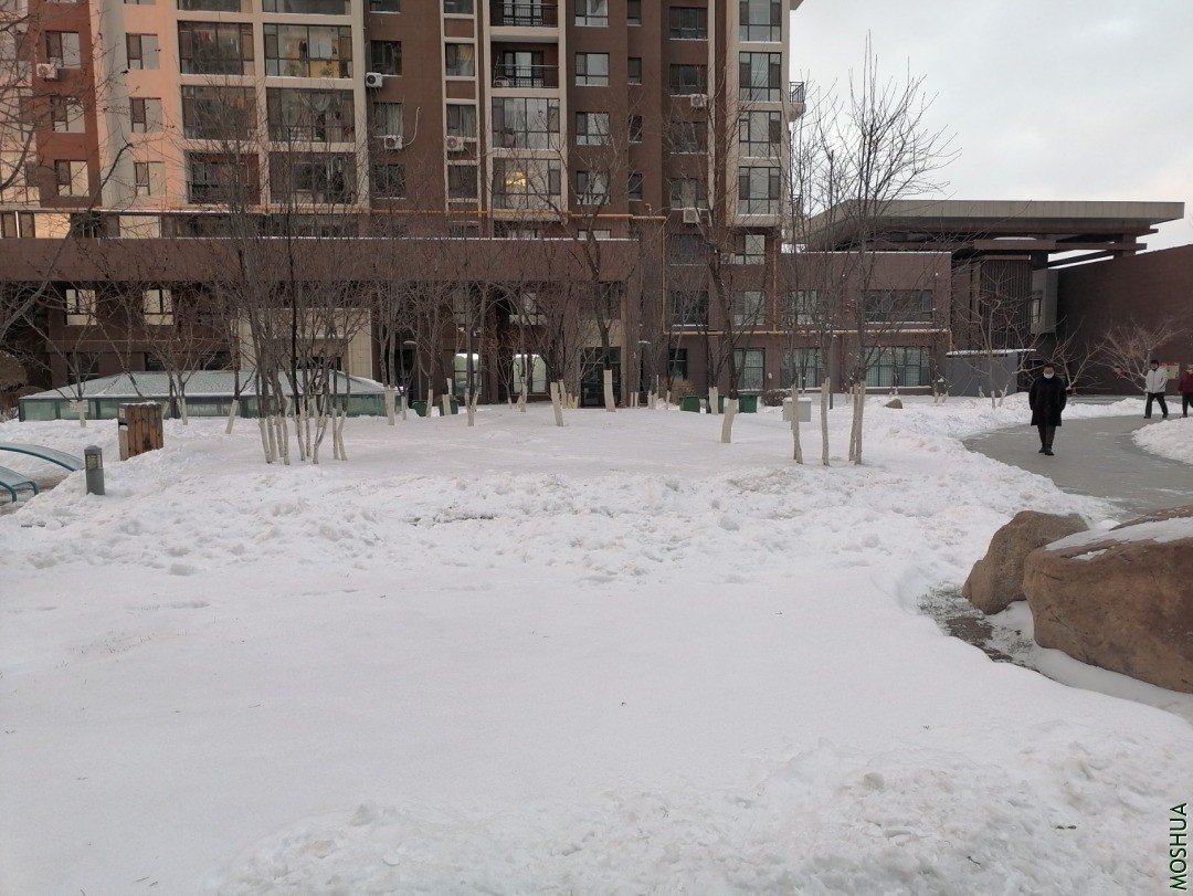 IMG_20201120_154347.jpg