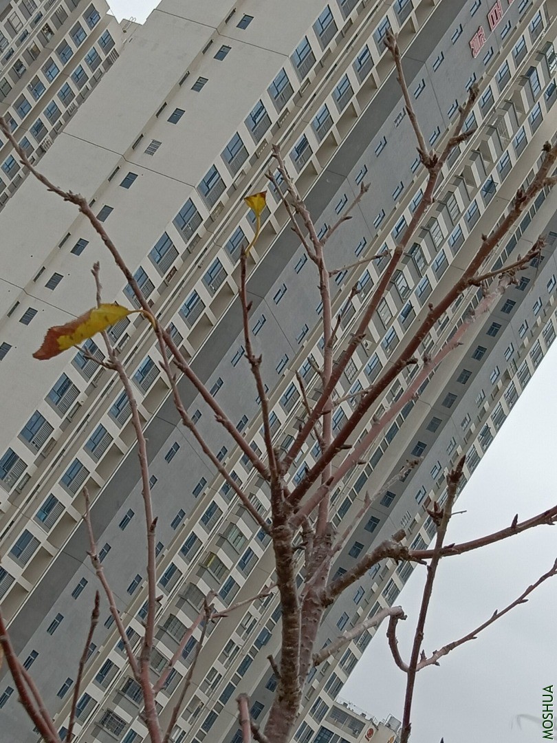 QQͼƬ20201122195821.jpg