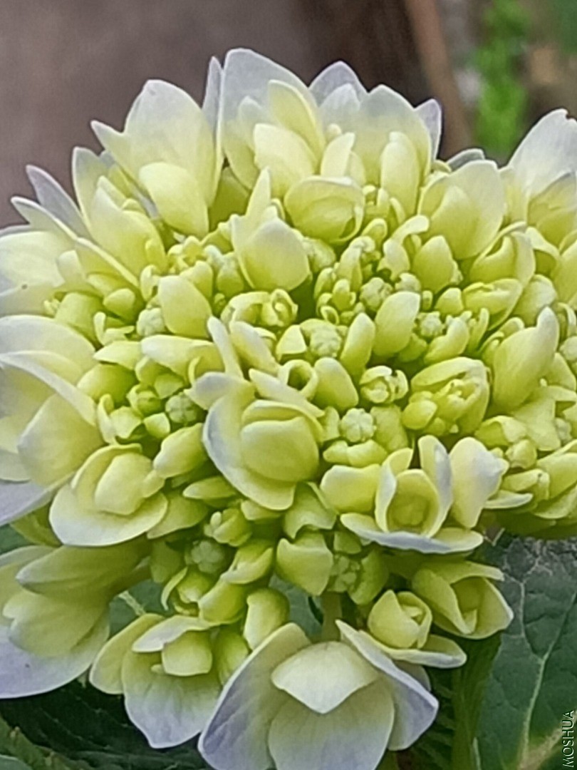 QQͼƬ20201122195826.jpg