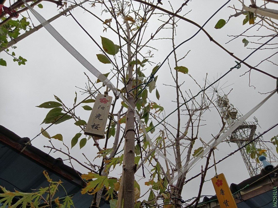 QQͼƬ20201122195846.jpg