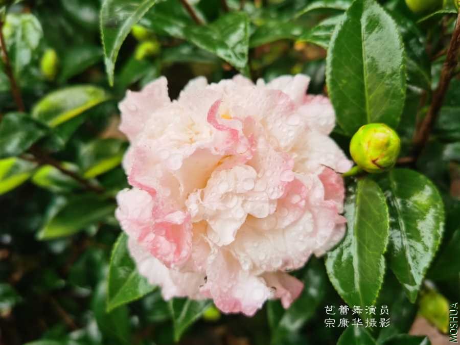 a1606011284255.jpg