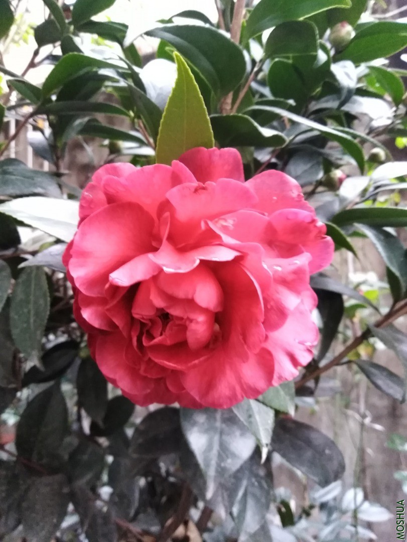 QQͼƬ20201124082835.jpg