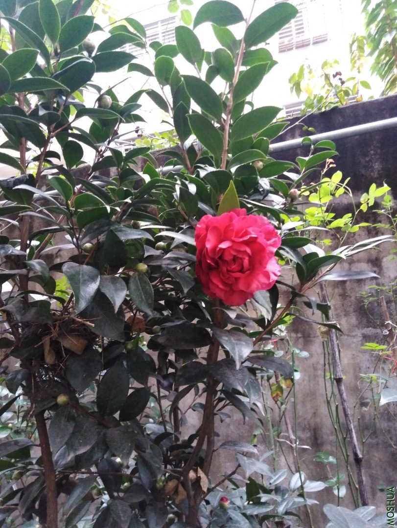 QQͼƬ20201124082829.jpg