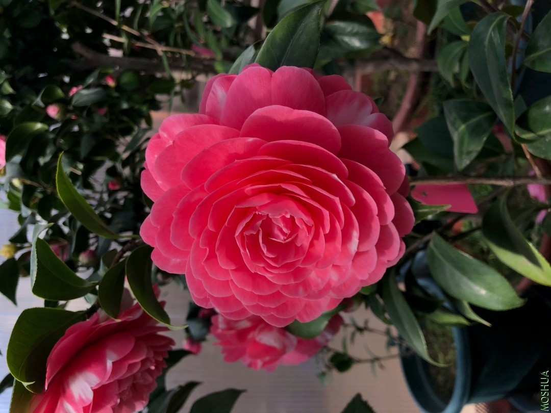 20�꿪Ʒ