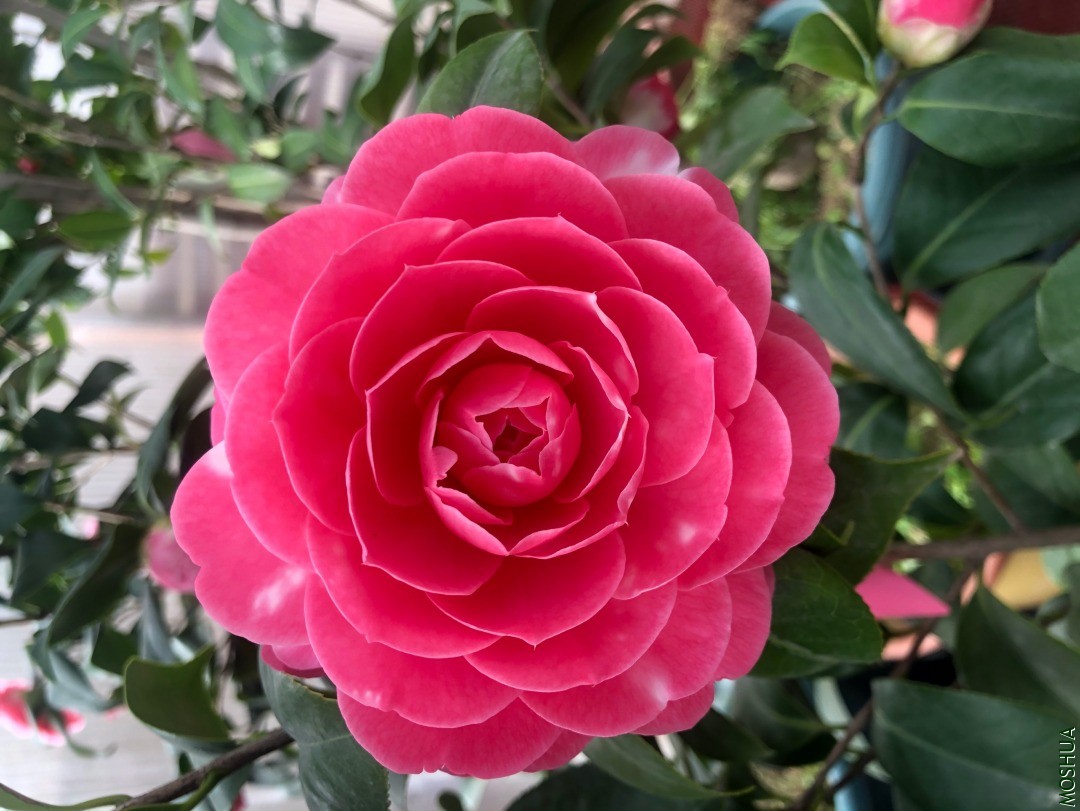 20�꿪Ʒ