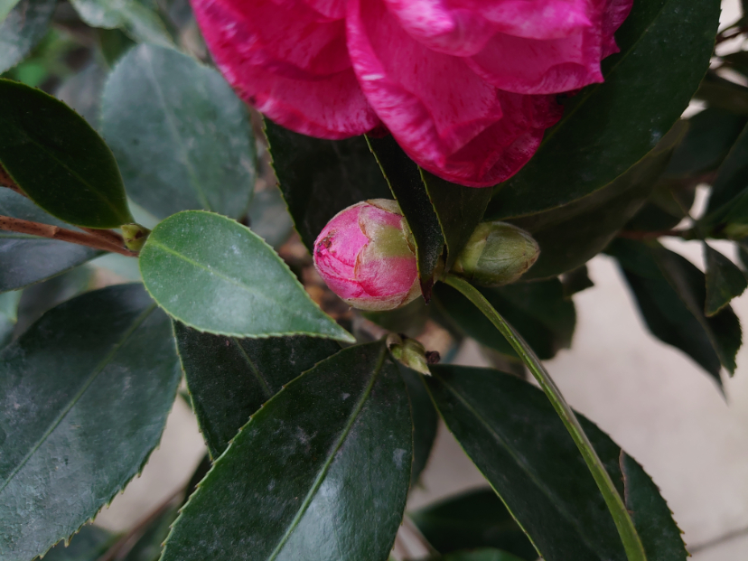 DSC_3945.JPG