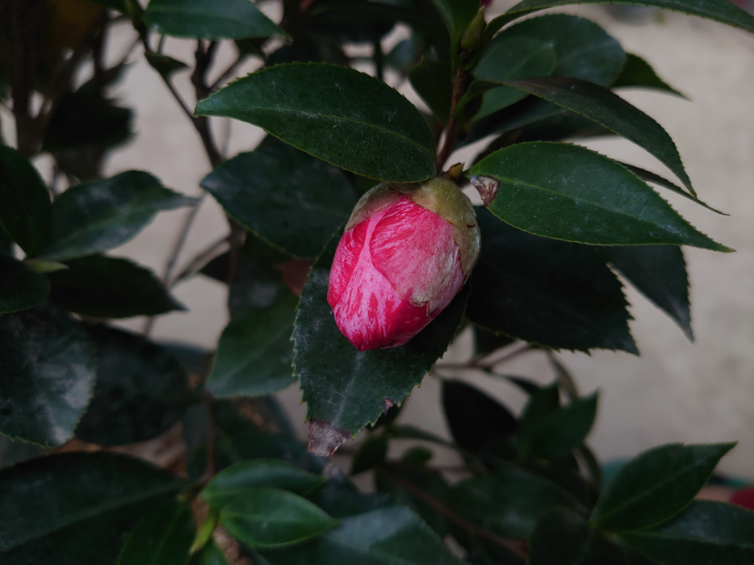 DSC_3944.JPG