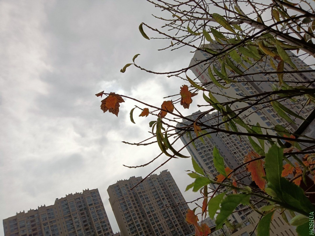 QQͼƬ20201205161219.jpg