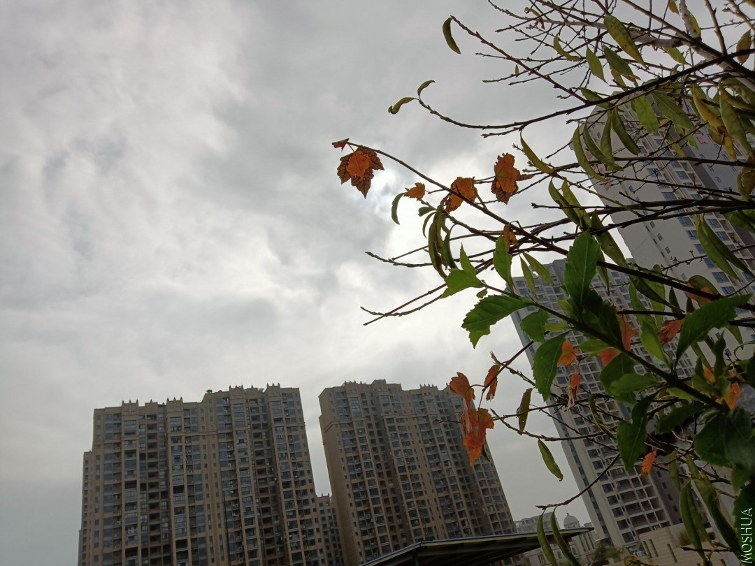 QQͼƬ20201205161223.jpg