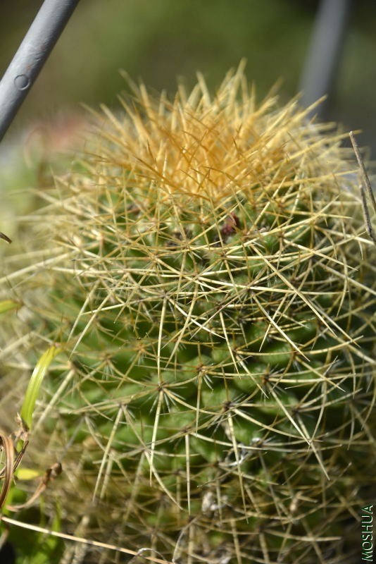 _DSC89520216.JPG