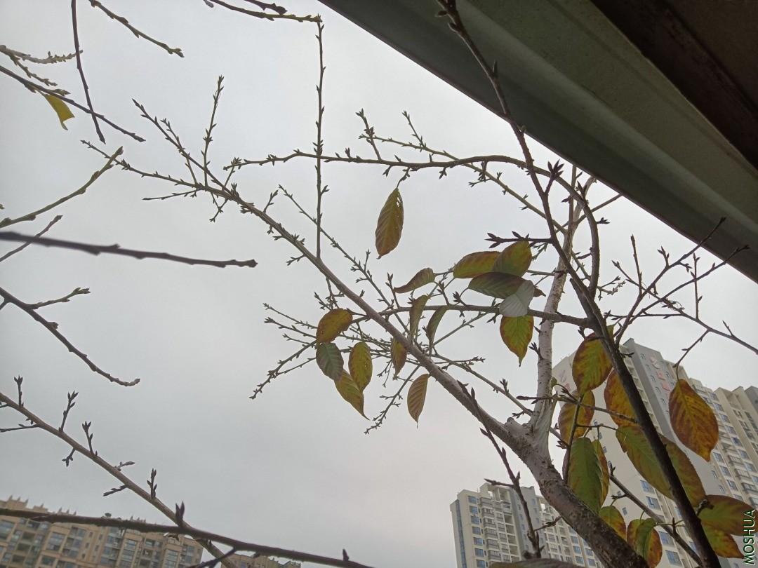QQͼƬ20201212201450.jpg
