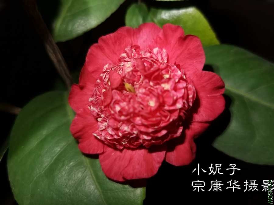 a1608022348078.jpg