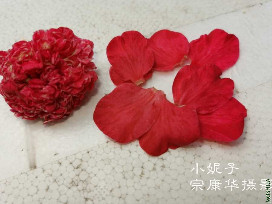 a1608022349063.jpg