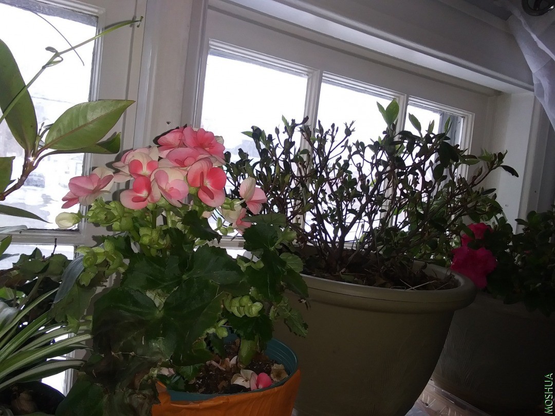 20201220_154151.jpg