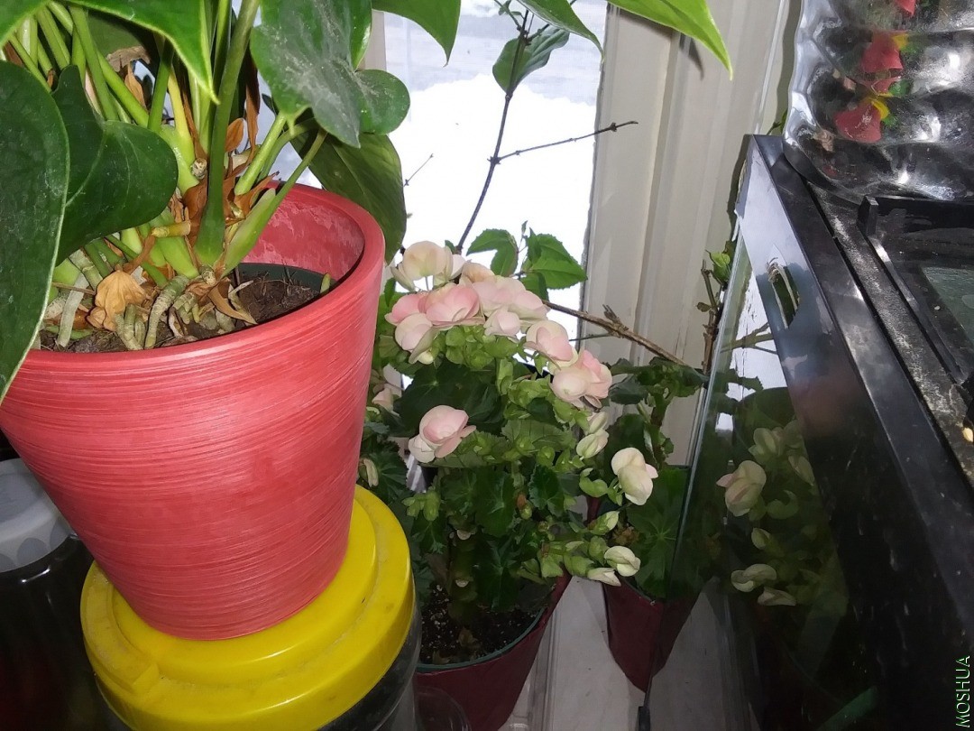 20201220_154201.jpg