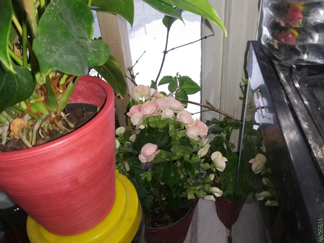 20201220_154207.jpg