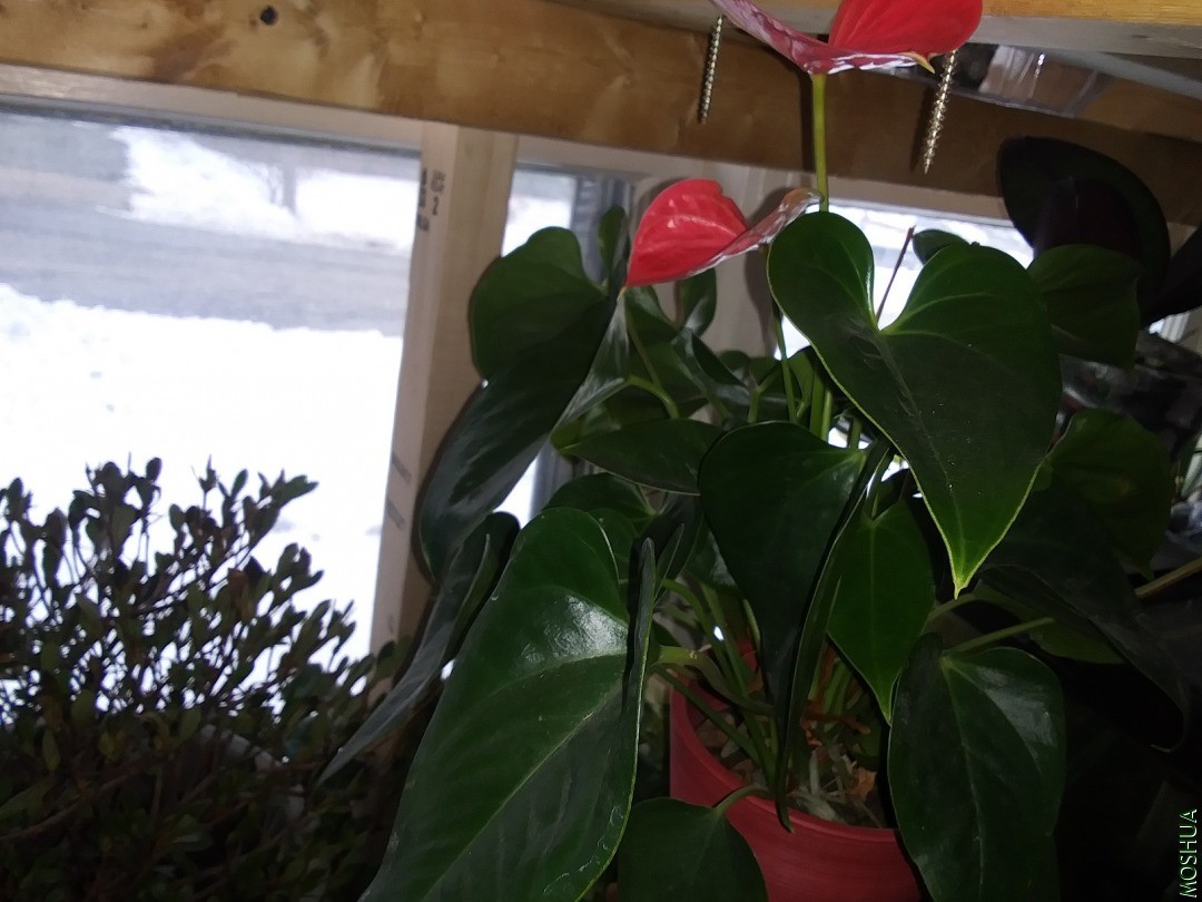 20201220_154221.jpg