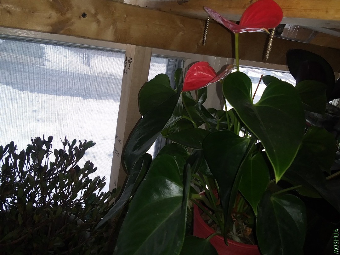 20201220_154230.jpg