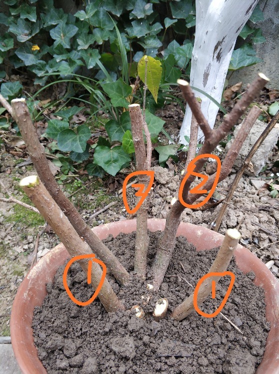 ΢��ͼƬ_20201225171849.jpg