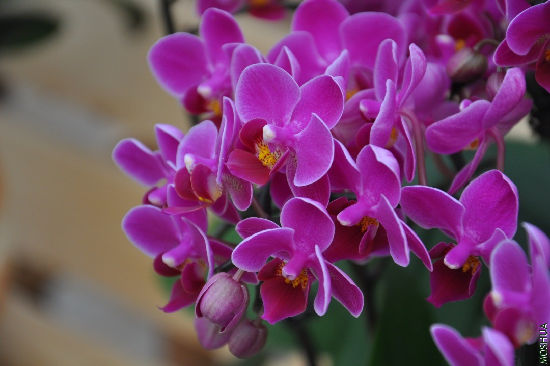 DSC_0283.JPG