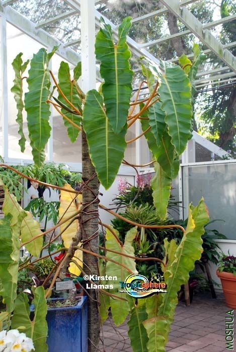 ΢��ͼƬ_20201218174611.jpg