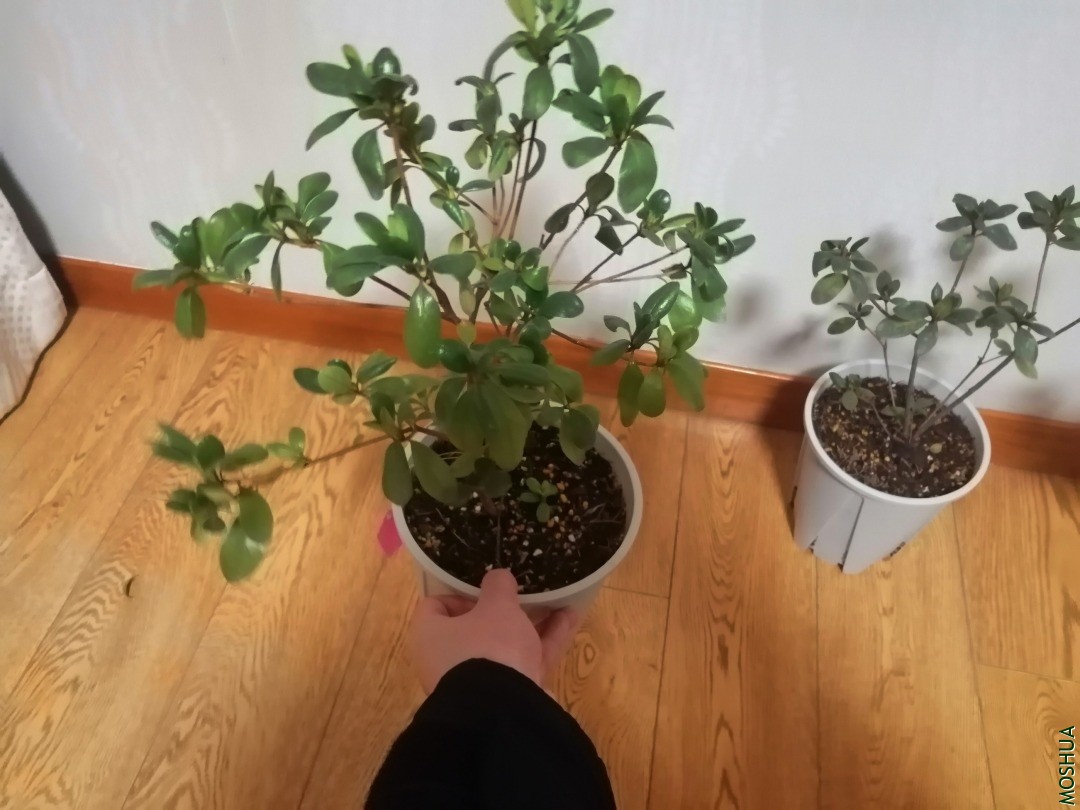 �վ��� �л�����