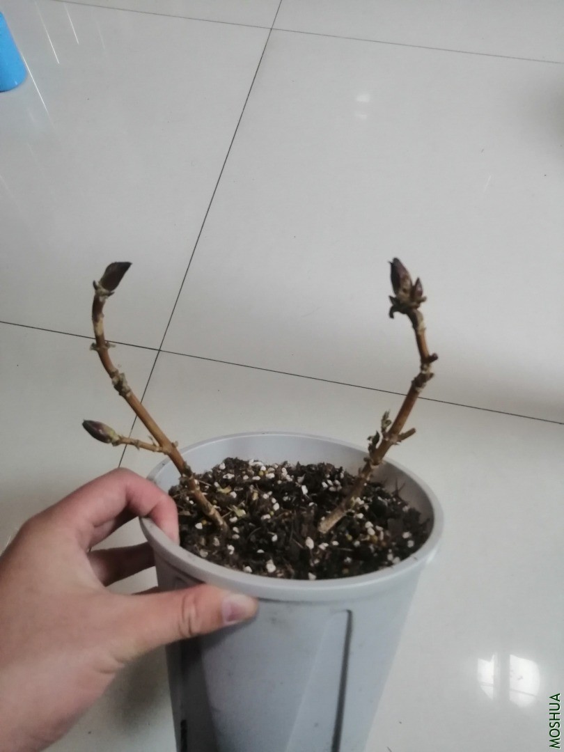���� ���ݹ���