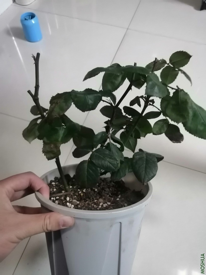 �¼� ����֮·