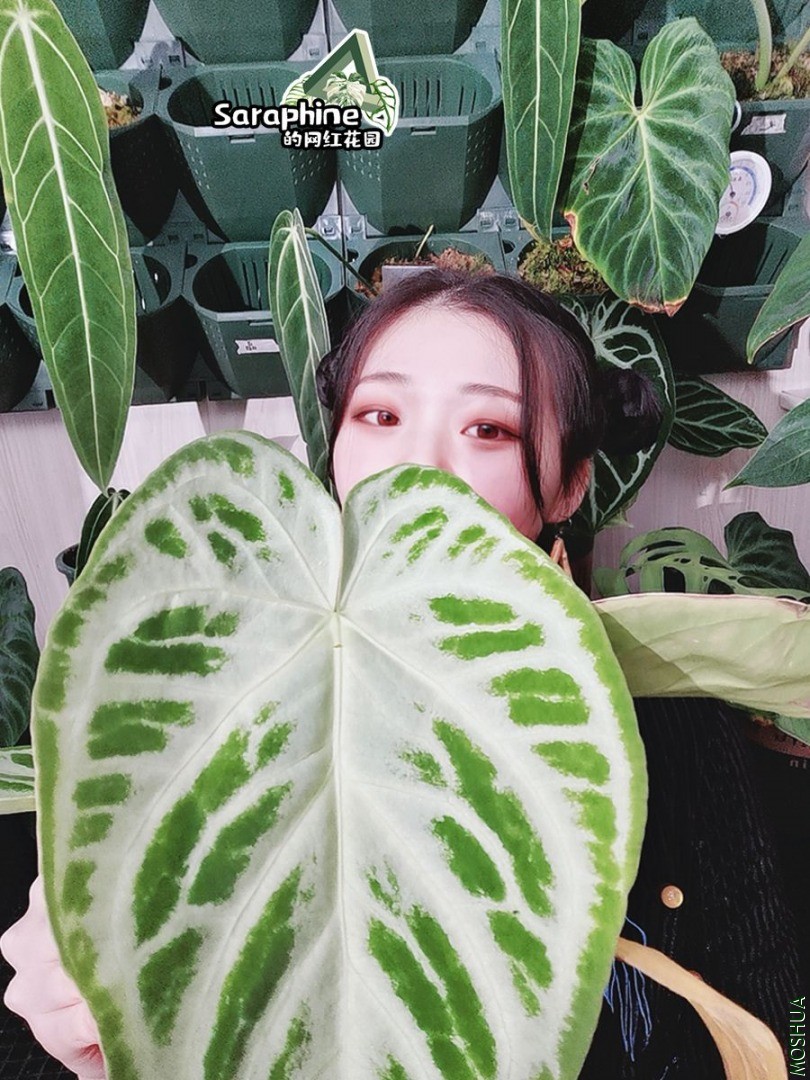 ΢��ͼƬ_20210104190936.jpg