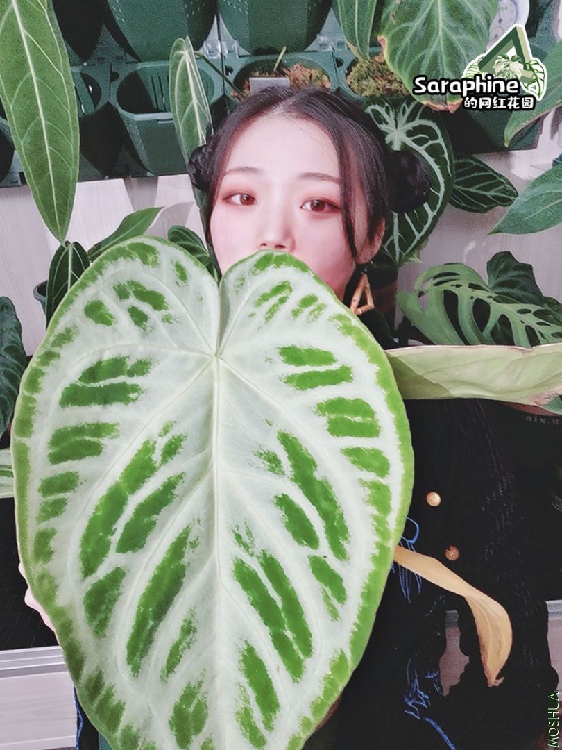 ΢��ͼƬ_20210104190939.jpg