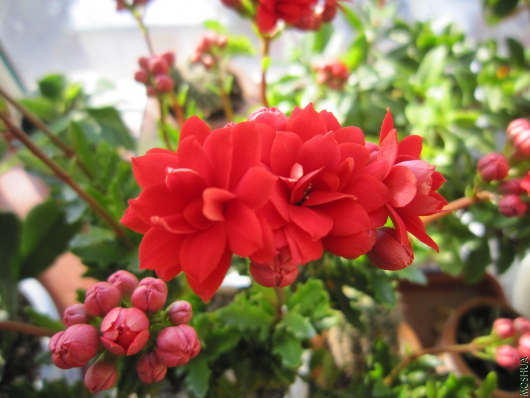 IMG_20201215_0015.JPG
