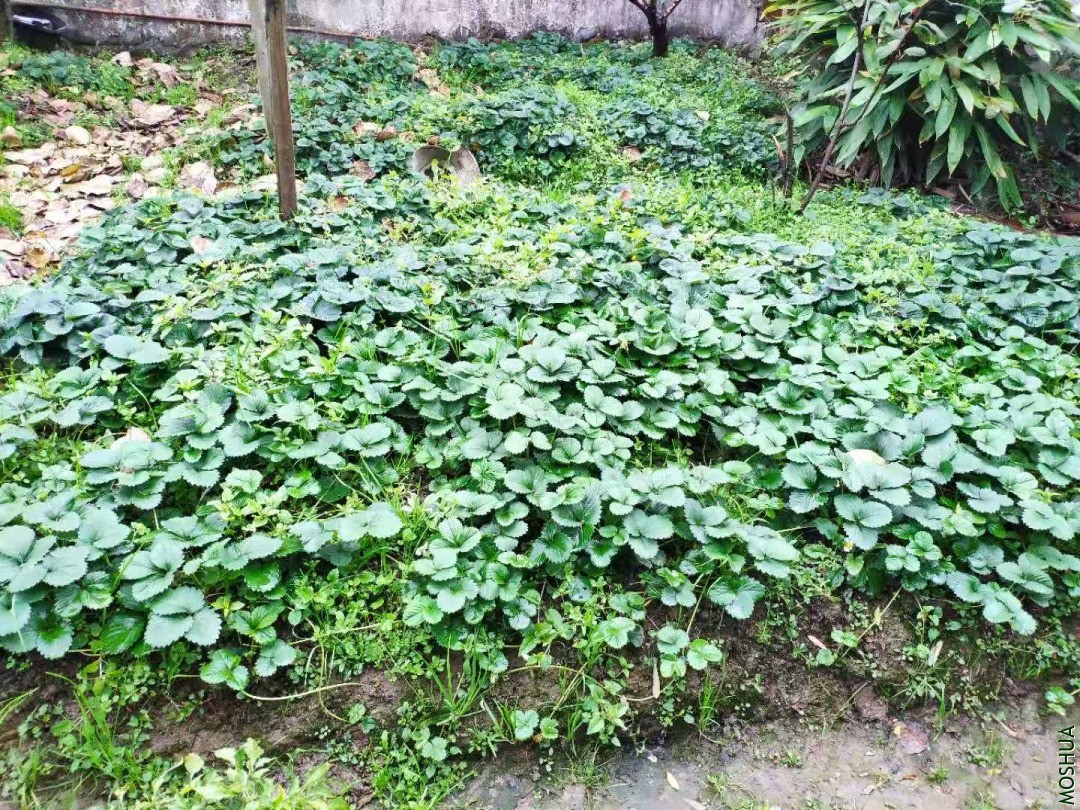 ΢��ͼƬ_20201214120510.jpg