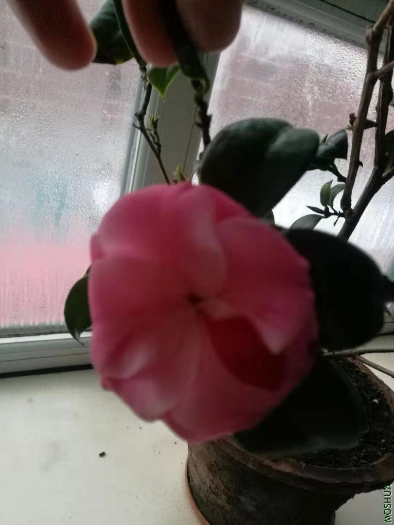 ΢��ͼƬ_20210118160718.jpg