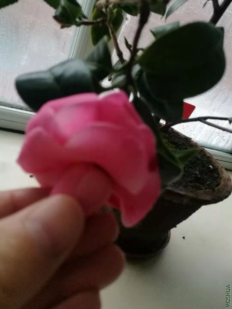 ΢��ͼƬ_20210118160724.jpg