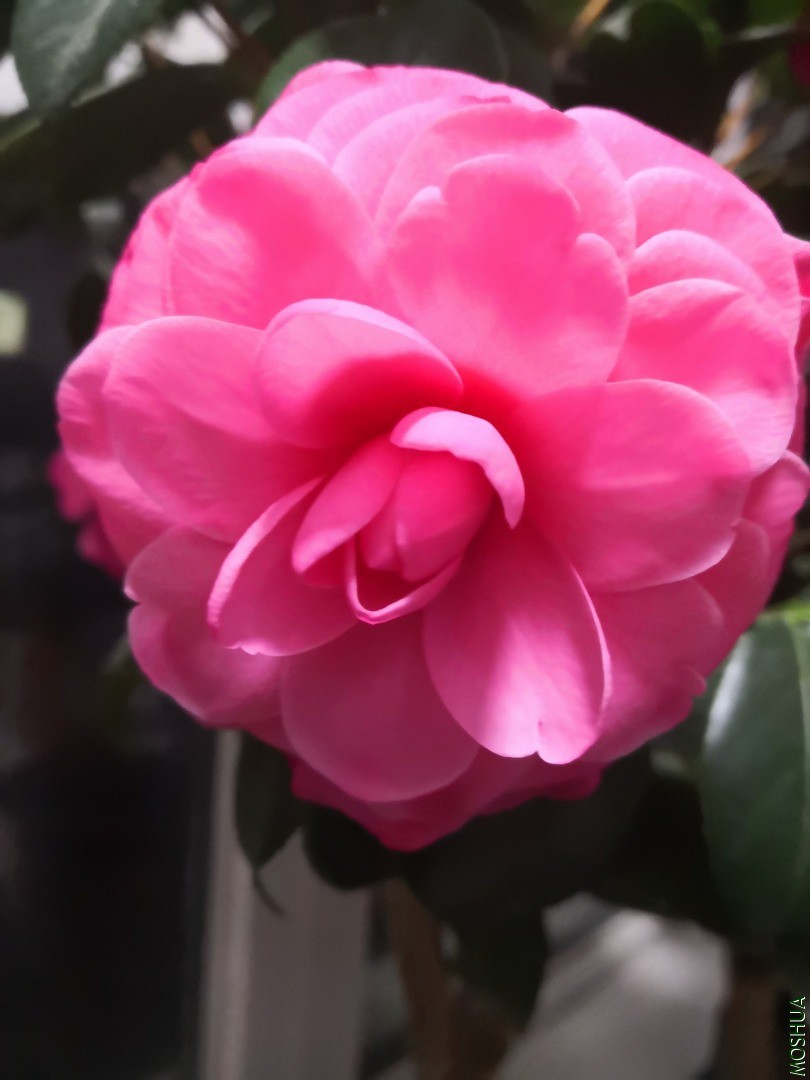 IMG_20201201_171251.jpg