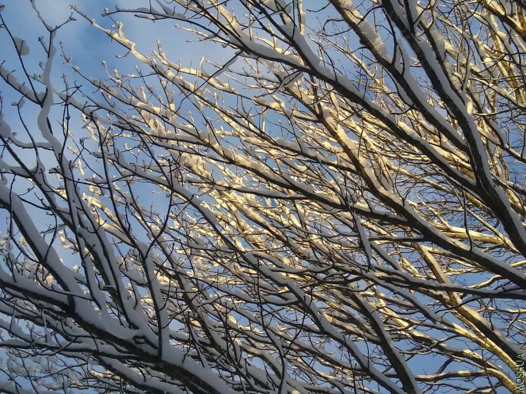 20210123_081303.jpg