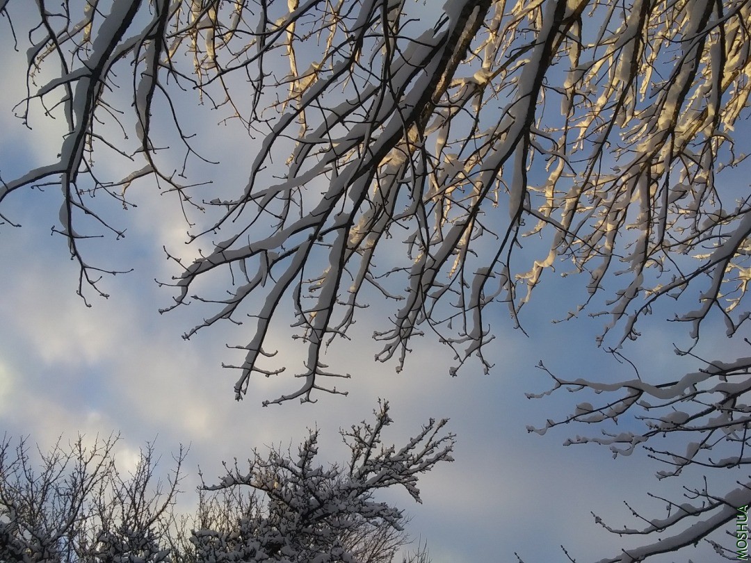 20210123_081315.jpg
