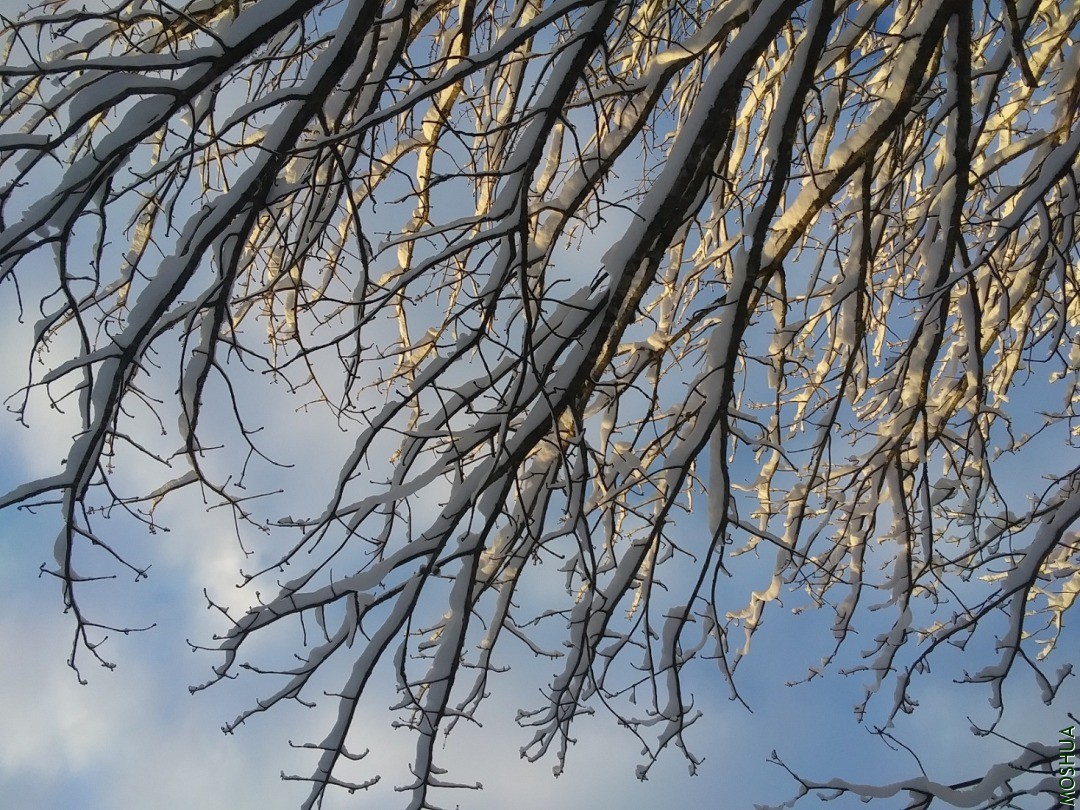 20210123_081318.jpg