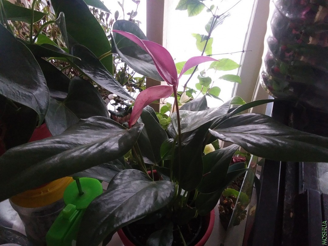20210122_142931.jpg