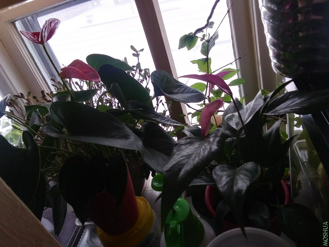 20210122_142944_HDR.jpg