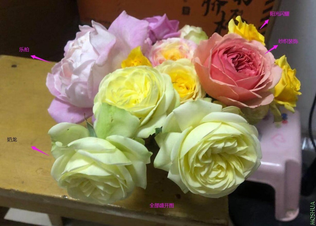 QQ��ͼ20210128123239.jpg
