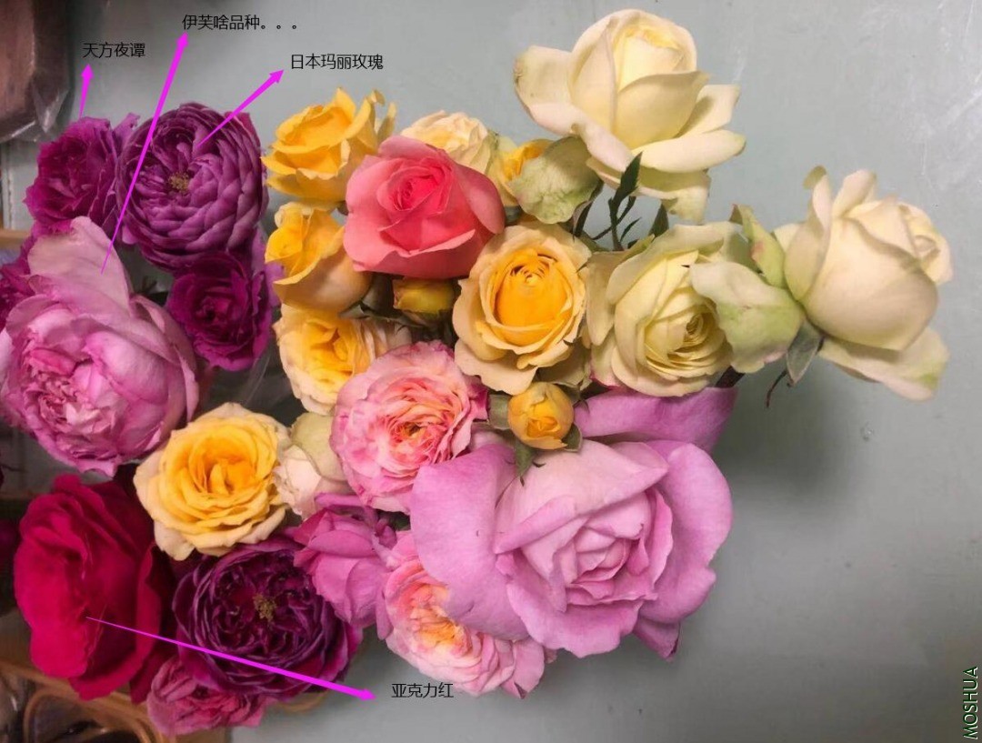 QQ��ͼ20210128123019.jpg