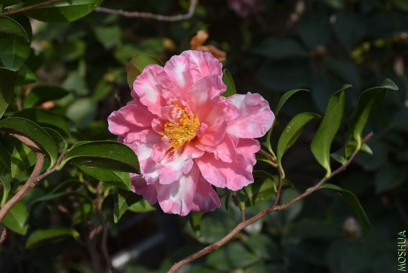 DSC_01130113.JPG