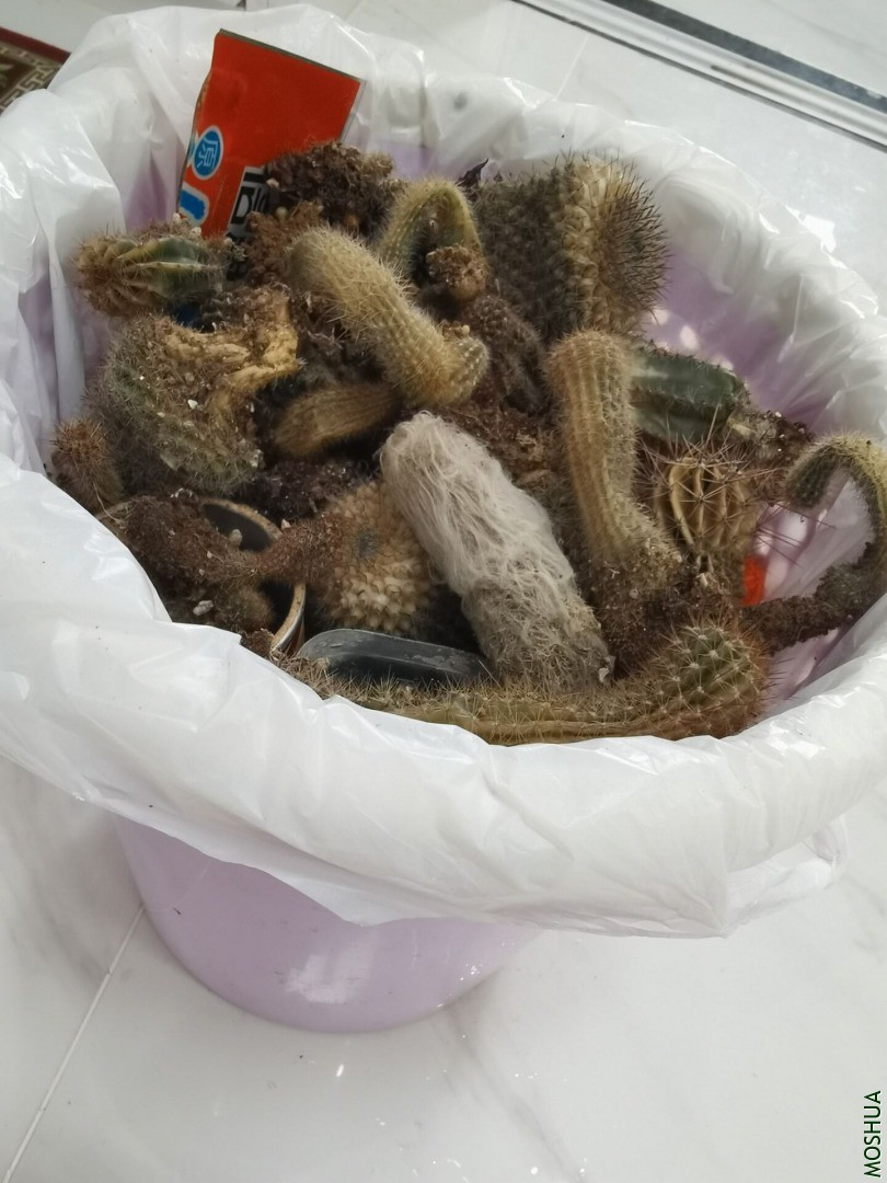 QQͼƬ20210203101134.jpg