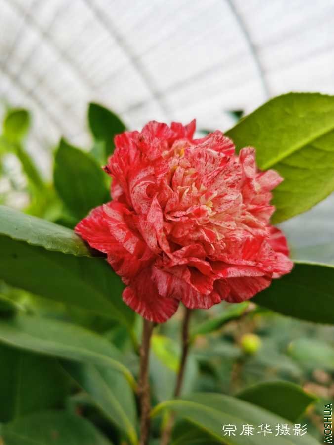 a1612768098890.jpg