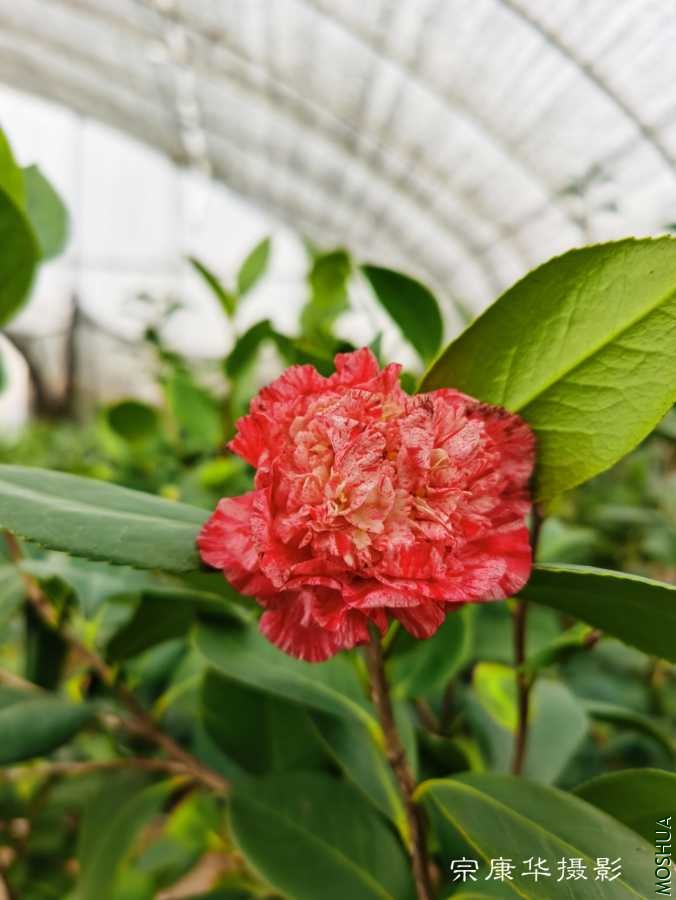 a1612768098638.jpg