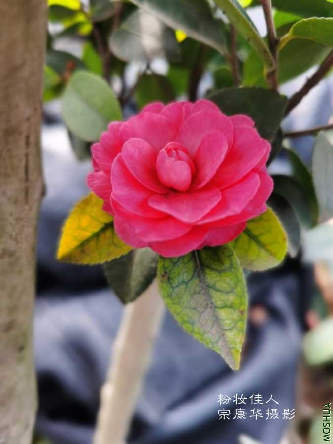 a1612768330682.jpg