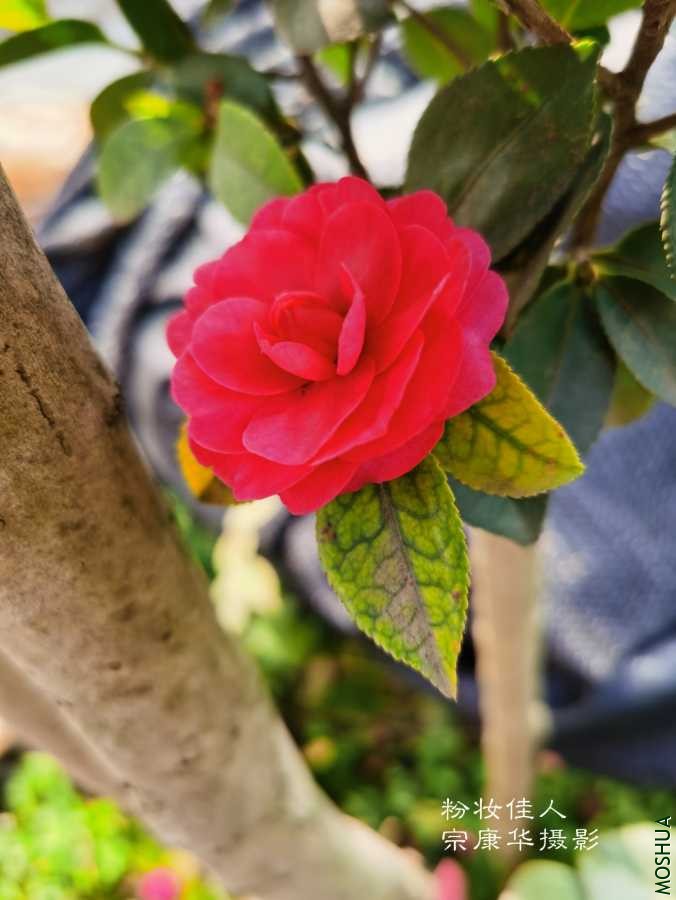 a1612768329467.jpg