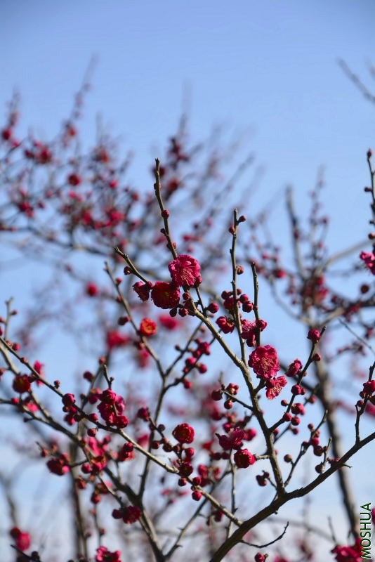 _DSC36570602.JPG
