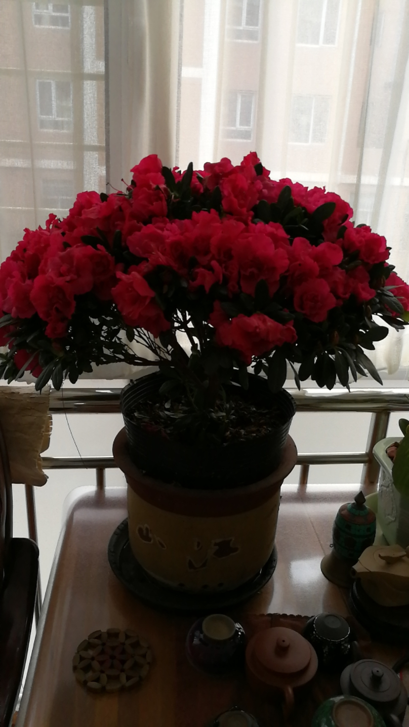 wx_camera_1612947796253.jpg